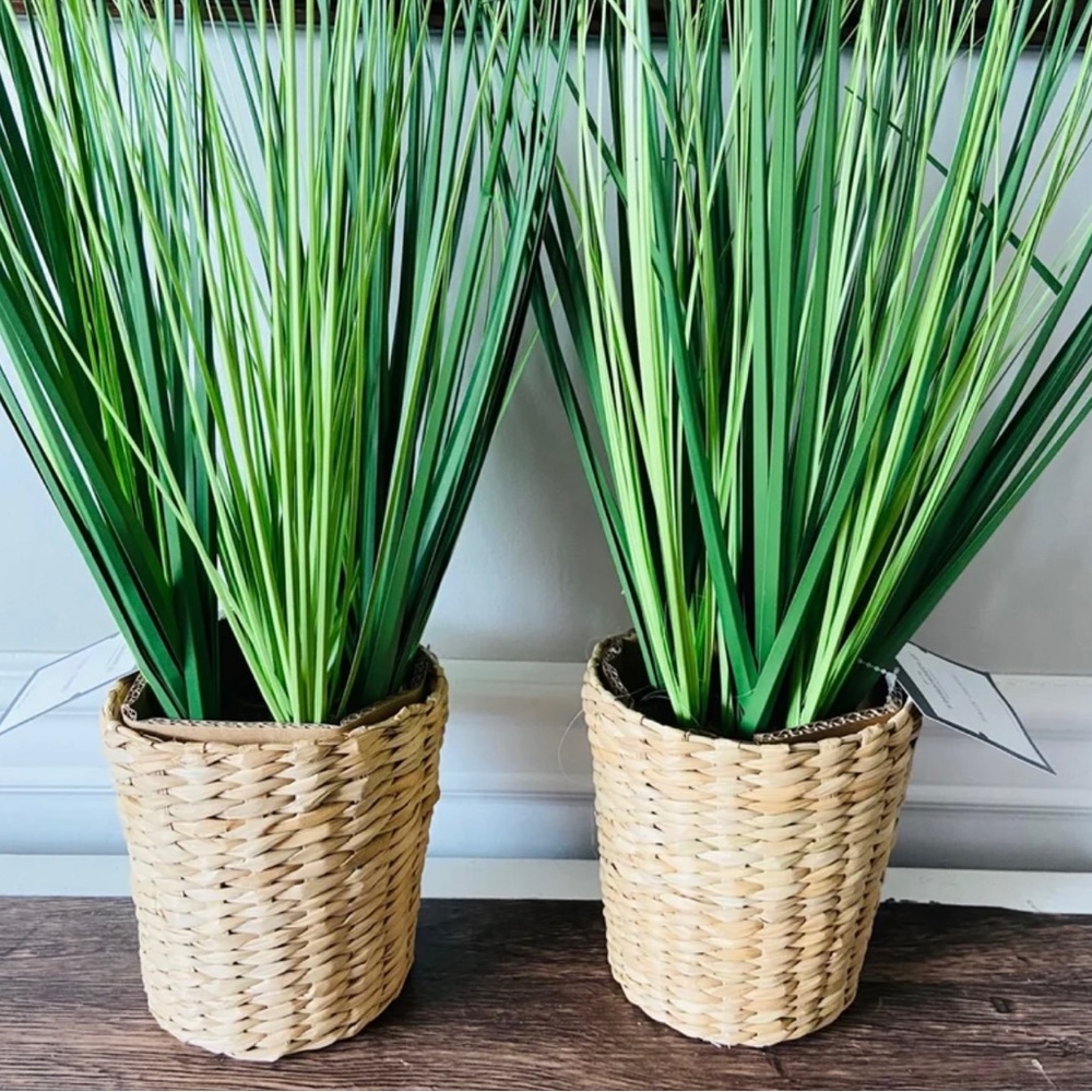 Set of 2 NWT threshold faux grass plants